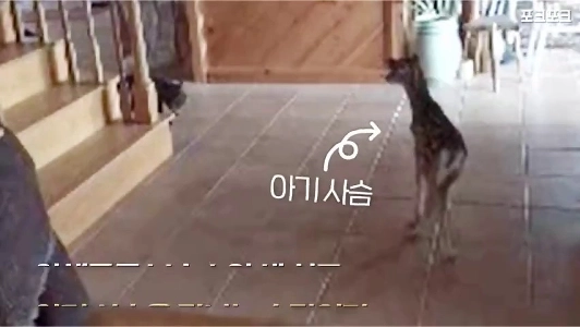 (SOUND)ペク・ジョンウォン、突然羽を広げる