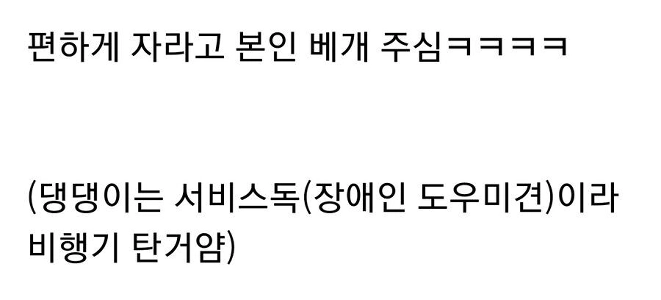 私は犬と一緒に飛行機に乗っていました、そして祖母は私の隣に座っていました