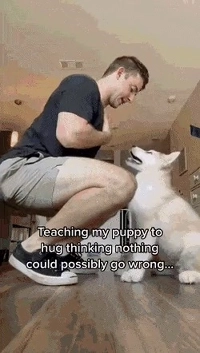 飼い主は犬にハグを教えたことを後悔している