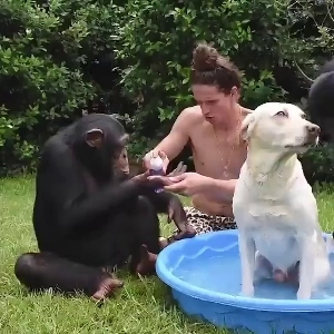 (SOUND)三人で犬をお風呂に入れてるははは