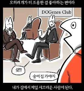 珍島犬の本当の性格