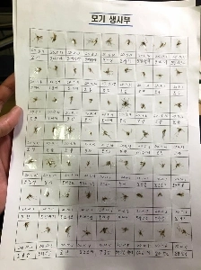 普段はクソみたいなぬいぐるみ野郎たち