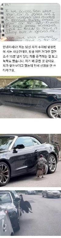 駐車した車に傷がつき、残されたメモはとんでもないものでしたjpg