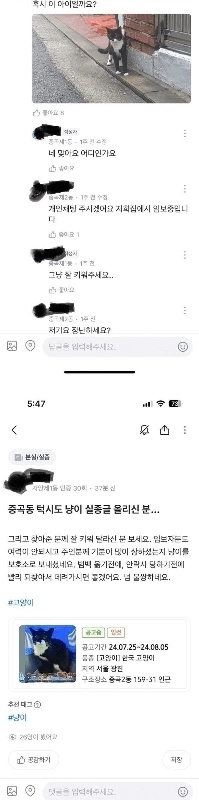 キャロットマーケット 猫を探しています.jpg