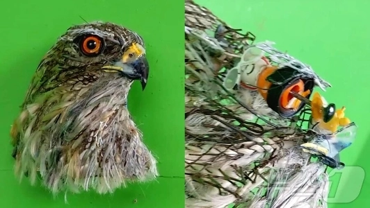 美大生に人気の現代アート