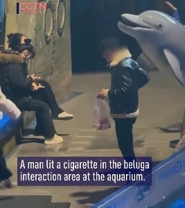 (SOUND)喫煙者を嫌う動物