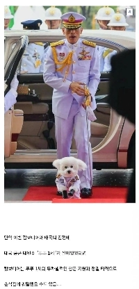 本物の犬と言われたタイ空軍大将