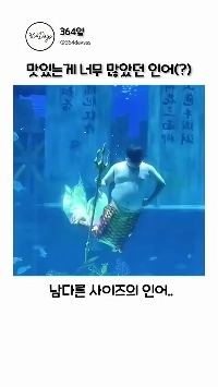 (SOUND)水族館の魚人