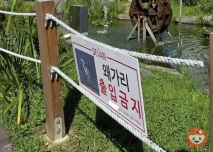 これは何ですか？