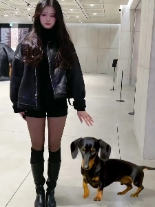 イェビン・パーク