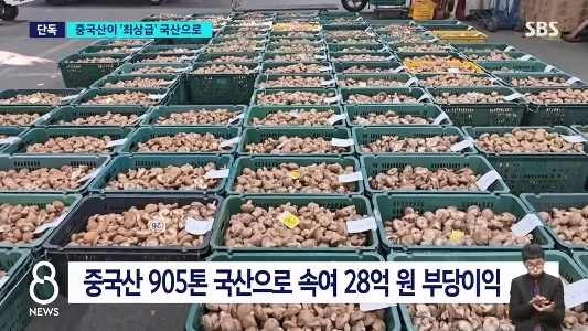 出荷量の7割を最高品質のきのこ農場が占める秘密