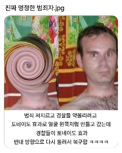 本当に愚かな犯罪者