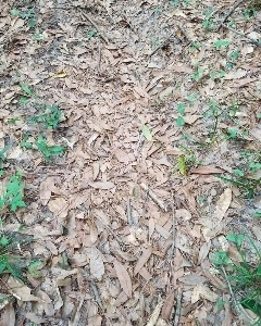 10秒以内に見つけられなかったら死ぬ。JPG