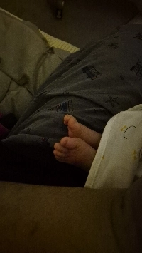 可愛い足元を見に行きましょう