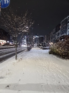 プロポフォールが気になる（ちょっと汚い？注意）