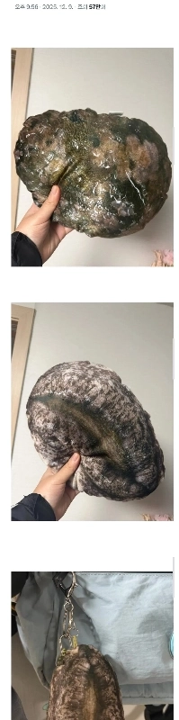 あなたの故郷愛を莞島に寄付すると、それを受け取ることができます。