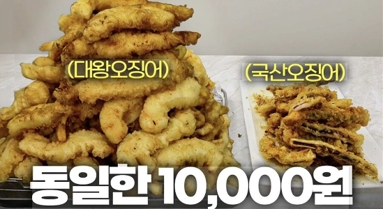 ダイオウイカと国産イカの量の違い