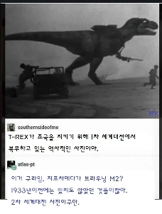 偽の写真で嘘をつくなら、もう少し誠意を見せてください。