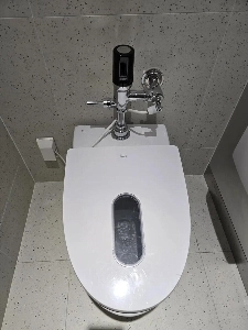 トイレの好き嫌い