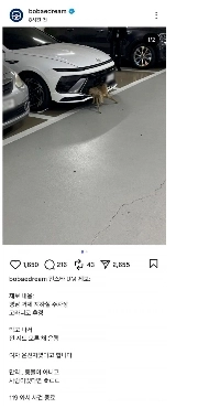 どうして分からなかったのでしょうか？