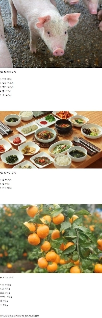 韓国の一人当たり年間食料消費量