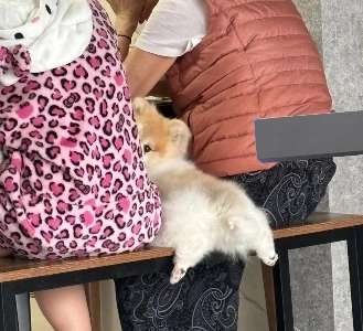 食べるたびに自然とこうなってしまいます。