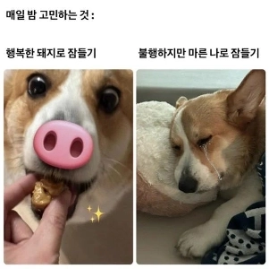 毎晩心配していること