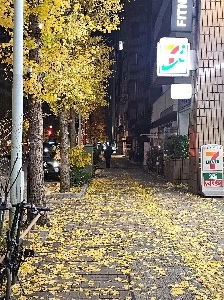リアルタイム）この写真は東京の会社員の食事会の帰りに撮りました。 jpg