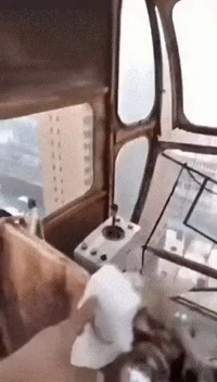 キムさん、これがキムさんが今日から運転するクレーンです。gif