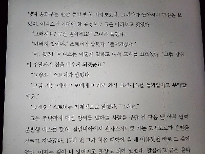 (小説) 1900 年代初頭のアメリカの嫁の心