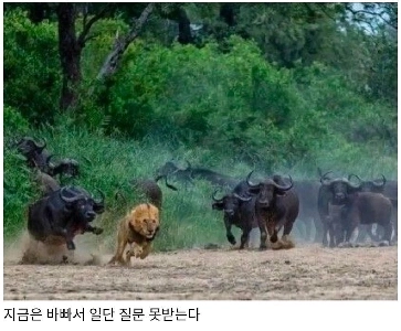 私の後に「ぬ」が付くのは私だけでしょうか？