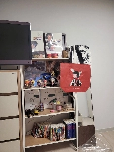 堤防をグッズで飾りました。