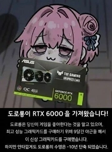 ドロンはグラフィックカードを購入しました。