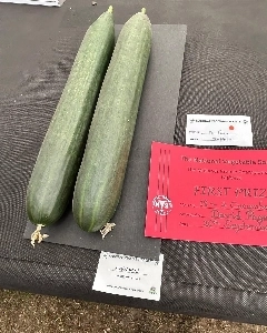 2025年かわいい野菜コンテスト