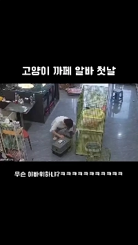 (SOUND)猫カフェバイト初日