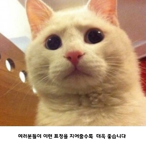 なぜ海水が鉄を錆びさせるのか