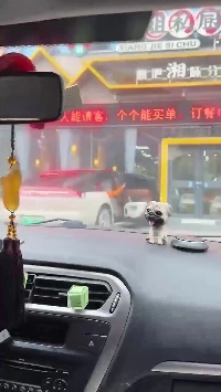 (SOUND)中国の自動車技術、理想と現実.gif
