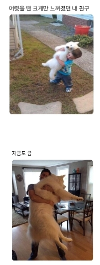 若い頃は大きく見えた友達