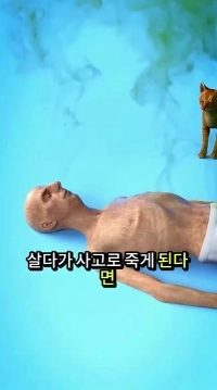 (SOUND)ペットは飼い主を食べるのでしょうか？