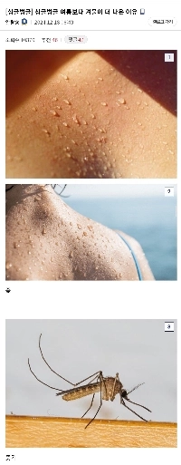 夏より冬の方が良い理由