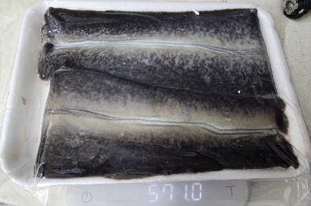 南道市場のウナギ購入レビュー