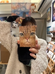 エレガントな偶然の一致