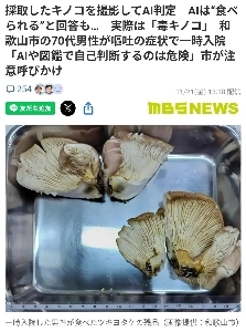 毒キノコを見分けるAIアプリをリリース。 jpg