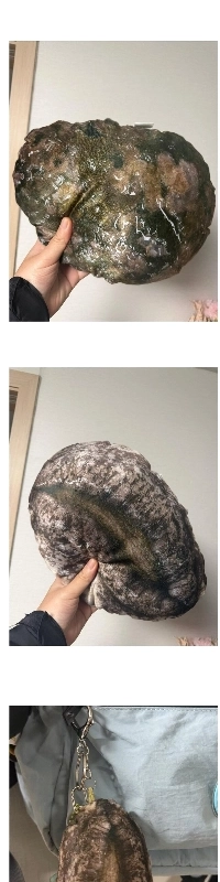 あなたの故郷愛を莞島に寄付すると、それを受け取ることができます。