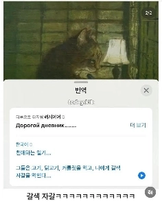 ロシア文学者の猫