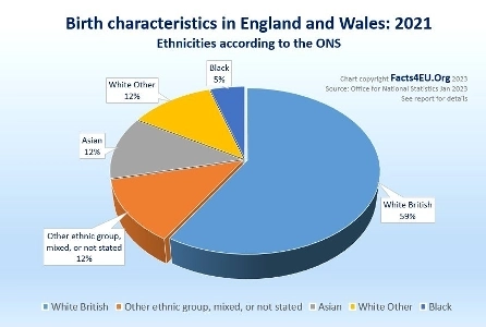 英国における民族別の新生児の割合