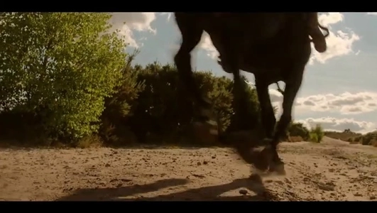 (SOUND)6年間ひとつのドラマを撮った女優の変化