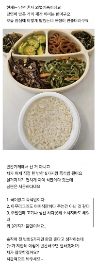 昼食にこのような料理を出したのですが、夫はがっかりしたと言っていました。