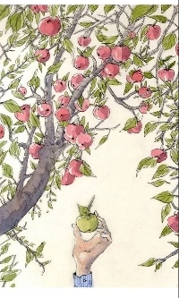 ロリータハードカバーの新表紙、驚異の大爆発小説ㄷㄷㄷㄷ