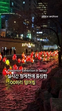 (SOUND)清渓川に浮かぶ100匹の鯉王とギャラドス